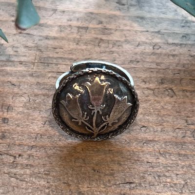 Ring, Damebunad Fra Kvænangen