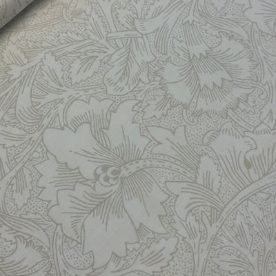Poppy, Cream