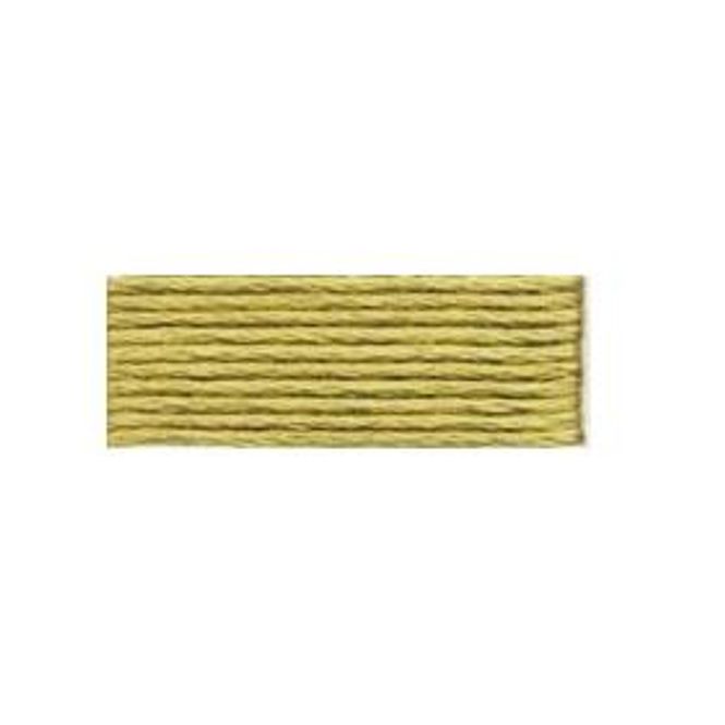 Hovedbilde #370 Medium Greenish Olive