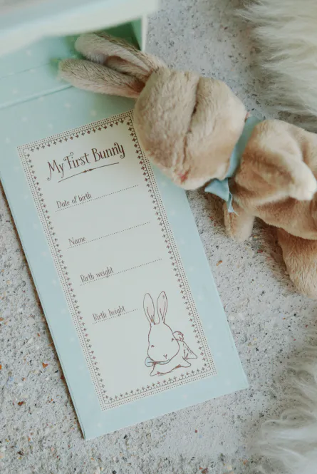 Hovedbilde My first bunny. -Mint